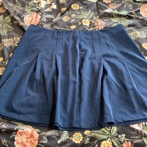 Cider / 1X / Navy Blue Skirt